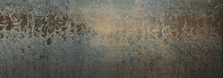 Carlo Gavazzeni Ricordi